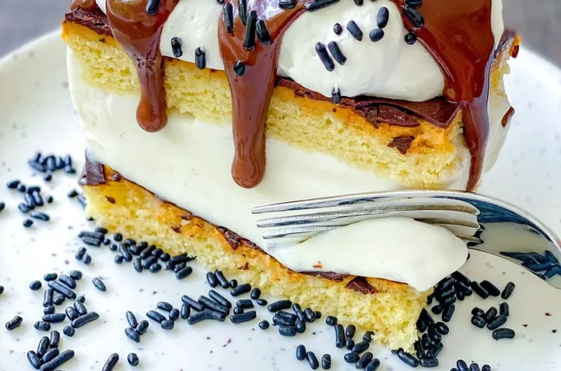 Easy Vegan Ice Cream Cake