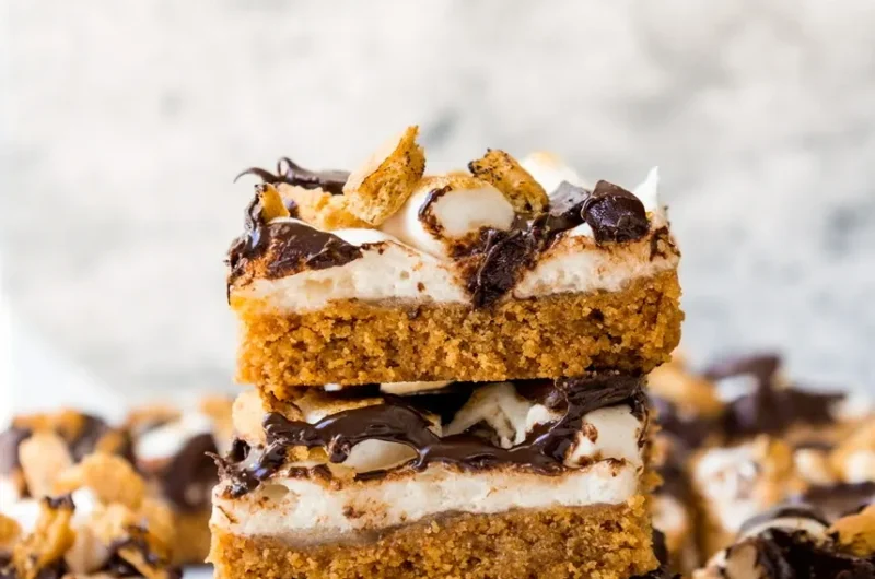 Easy Vegan S’mores Bars