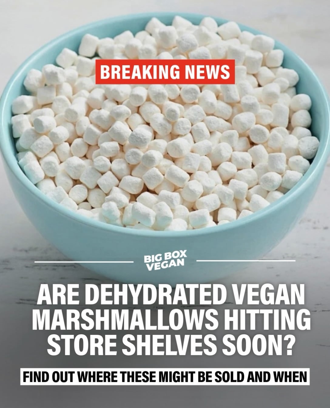BREAKING CHEWS! Are dehydrated vegan marshmallows about to hit store shelves for the first time at a major retailer? No gelatin, no animal ingredients, just the crunchy cereal style marshmallow bits you remember from childhood, but fully plant based?!

We got a tip from an insider that they will be sold at Walmart, with Yummallo possibly the brand behind them. They already sell a conventional dehydrated marshmallow with a very similar SKU to these new ones and a reset is expected to happen in about 6 weeks with these slated to be on store shelves. 👀

This could mark the first time a vegan dehydrated marshmallow has ever been sold at a mainstream major U.S. retailer and I’ve certainly never seen them in stores before. 

Get my full breakdown, photos and everything I know so far at bigboxvegan.com or comment LINK and I’ll send it right to you. 

Did you have this on your vegan wishlist this year?