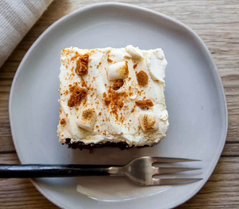 Easy Vegan S’mores Sheet Cake