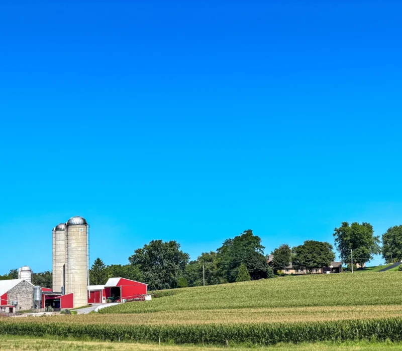 From Bethlehem to Paradise, PA: a Vegan Comfort Food Guide